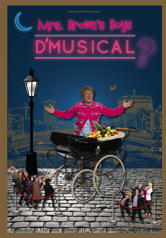 dmusical programme cover poster mrs browns boys